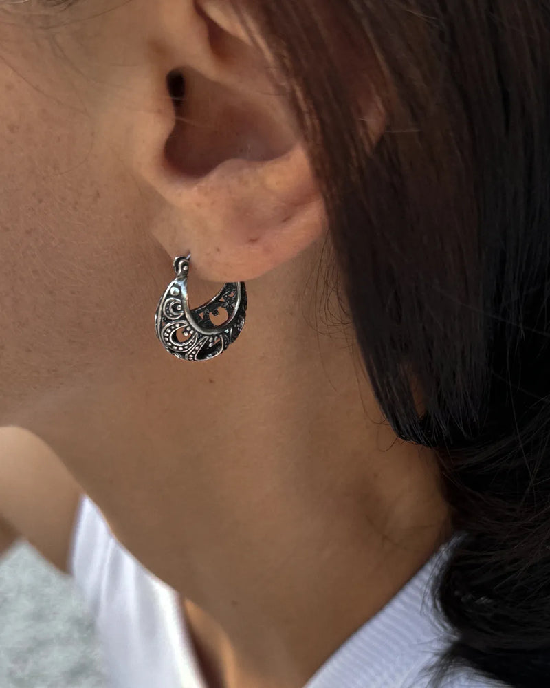 Horseshoe earrings